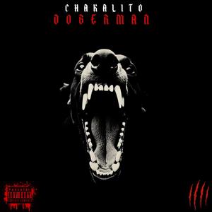 DOBERMANN (Explicit)