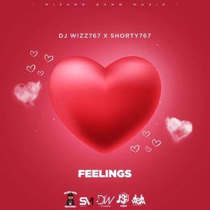 Feelings (feat. Shorty 767)