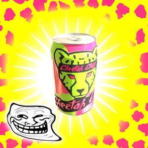 GEPARDE-X (Explicit)