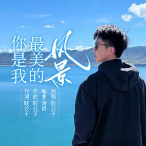 你是我最美的风景