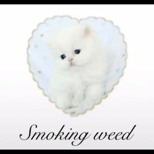 ya be on that lame shi (feat. alycat) (Explicit)