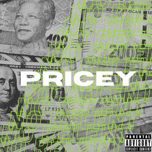 Pricey (Explicit)