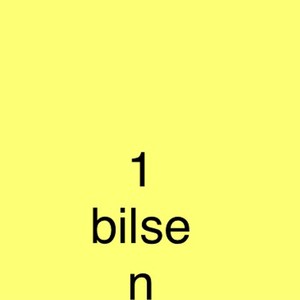 1 Bilsen