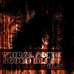 Tribal Sonic Soundblast,Vol.16