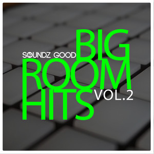 Big Room Hits Vol.2