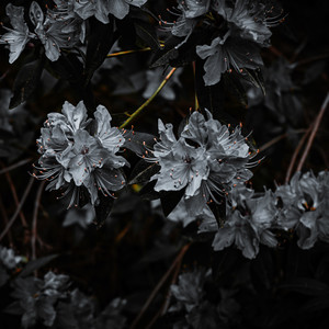 Fragments