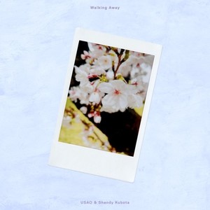 USAO - Walking Away