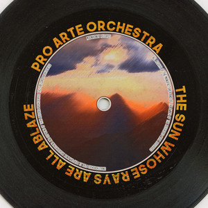 Pro Arte Orchestra - I Am the Captain of the Pinafore (From 