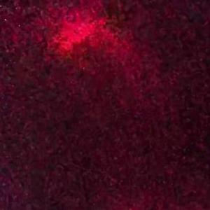 BAD HABITS (feat. kaddy)