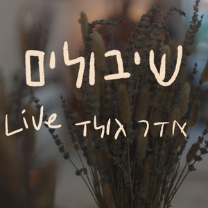 שיבולים (Live)