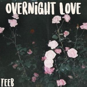Overnight Love (Explicit)