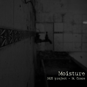 Moisture