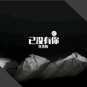 已没有你