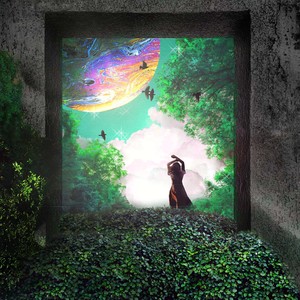 좋아한다는 흔한 말