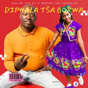 Diphala Tša Borwa (feat. Desire The Vocalist)