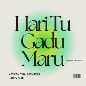 Hari Tu Gadu Maru (feat. Parry Mad)