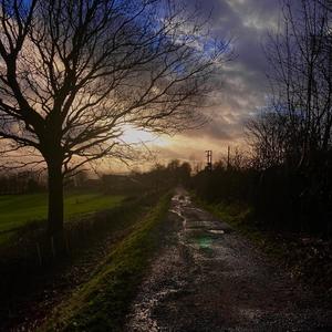 Creatures On The Moon (feat. Isaac Salaman & Ryan Hill)