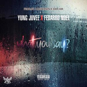 What You Say (feat. Fedarro Noel) (Explicit)