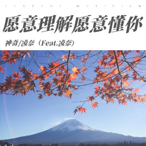 你愿意理解我(我愿意懂你)