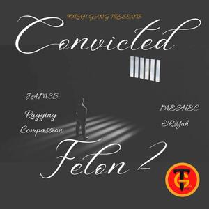 Convicted Felon 2 (feat. Raging Compassion, EnriYAH, Jam3s & Meshec) [Explicit]