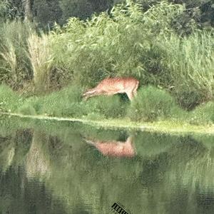 Sabby 2 (2 U From Me) (Explicit)