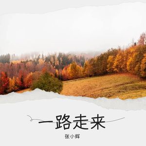 一路走来