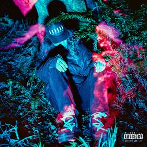 so what? (feat. Willy Cobain & musicbythecreek) (Explicit)