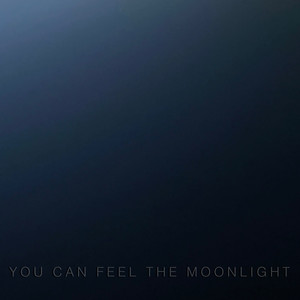you can feel the moonlight