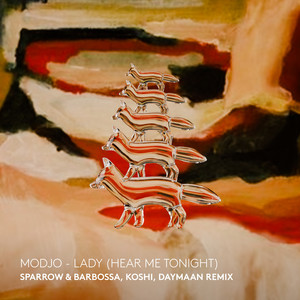 Lady (Hear Me Tonight) (- Remix)