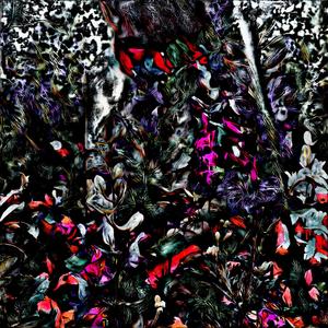 BLISS IS A HARD THING TO WIN