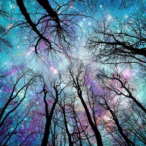 I'm fine(feat. noahstarlight & Slxxpy Paralysis)