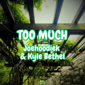TOO MUCH (feat. Kyle Bethel) (Remix)
