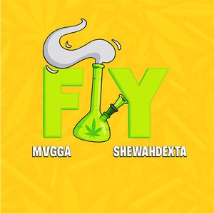 Fly