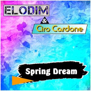 Spring Dream (feat. Ciro Cardone)