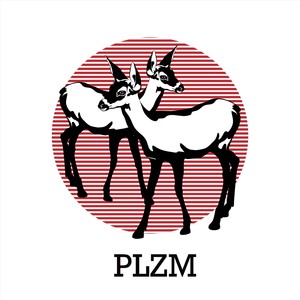 Plzm