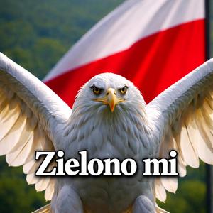 Zielono mi