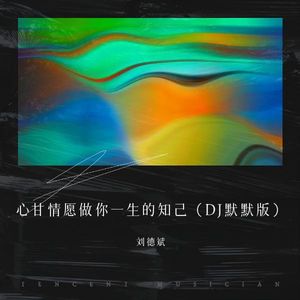 心甘情愿做你一生的知己 (DJ默默版)