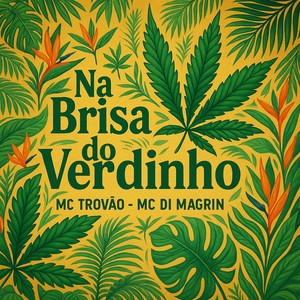 Na Brisa do Verdinho (Explicit)