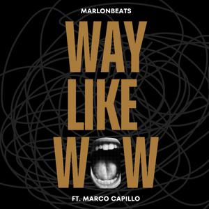 Way Like Wow (Explicit)