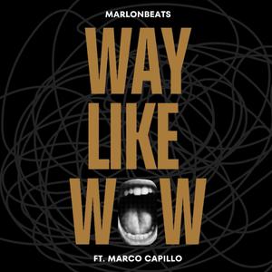 Way Like Wow (Explicit)
