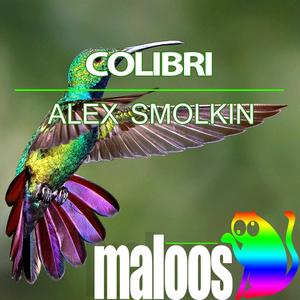 Colibri