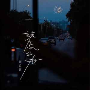该怎么办 (伴奏)