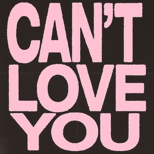 Can't Love You