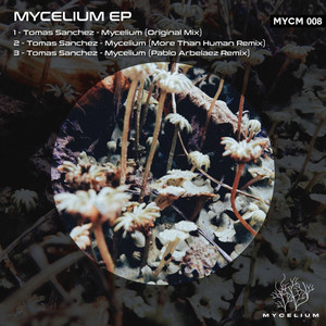 Mycelium