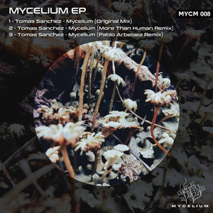 Mycelium (More Than Human Remix)