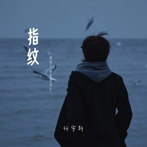 指纹（旋转几轮变成我们）封面