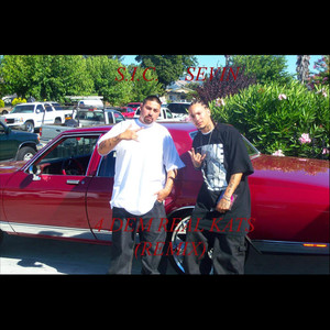 4 Dem Real Kats[feat. Sevin] (Remix)