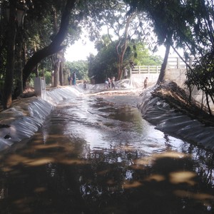 Power(feat. Saidur Rahman)