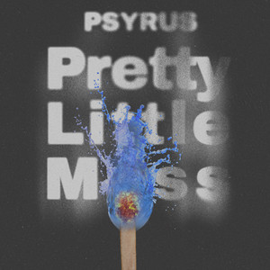 Pretty Little Mess