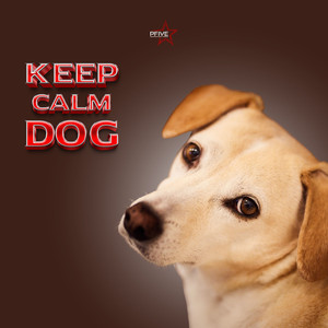 Keep Calm Dog